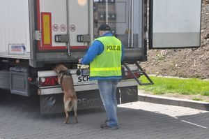 działania na autostradzie