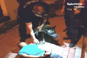 Zatrzymanie złodzieja