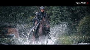 Zdjęcie. Widoczny policjant na koniu słuzbowym