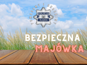 Grafika przedstawiająca most oraz trawę i napis bezpieczna majówka.
