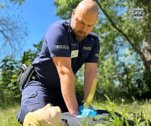 Na zdjęciu policjant ruchu drogowego, wykonujący masaż serca na fantomie.