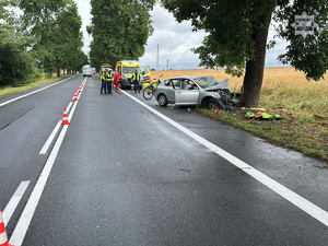 na zdjęciu rozbity samochód przy drzewie, za nim policjanci i karetka pogotowia