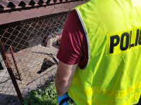 Policjanci z Rudy Śląskiej zlikwidowali uprawę narkotyków - zdjęcia