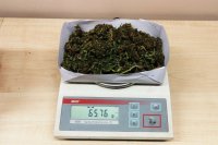 Marihuana zabezpieczona w mieszkaniu