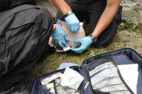 Przebieg rywalizacji - test praktyczny