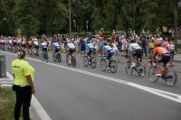 Peleton kolarzy.