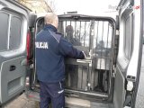 zdjęcie poglądowe - policjant zamyka kratę w tylnym przedziale samochodu służbowego