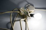żarówka na ścianie i kilka podłączonych przewodów elektrycznych - pajęczyna