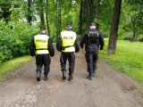zdjęcie - trzech policjantów na leśnej drodze