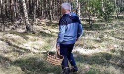 widok mężczyzny spacerującego po lesie w poszukiwaniu grzybów