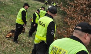 policjanci na granicy lasu gotowi do poszukiwań