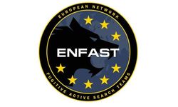 grafika - logo enfast, głowa wilka, gwiazdki