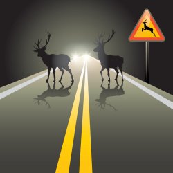 grafika - droga, światła pojazdu, dwa jelenie na drodze, obok znak uwaga dzikie zwierzęta