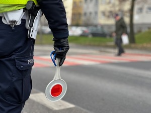 zdjęcie przedstawia policjanta w mundurze stojącego przed przejściem dla pieszych