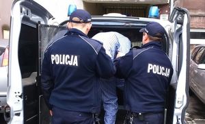 zdjęcie poglądowe, policjanci przy więźniarce, zatrzymany wsiada do środka