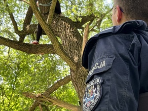 zdjęcie - policjant przy drzewie rozmawia z siedzącą tam pozorantką udającą poszukiwaną dziewczynę