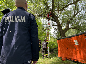 zdjęcie - policjant przy drzewie z dziewczyną, pod drzewem rozłożony przez strażaków skokochron
