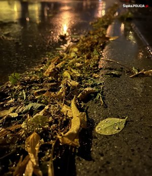 zdjęcie - mokra jezdnia z zalegającymi liśćmi drzew