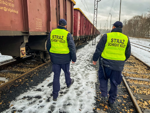 zdjęcie przedstawia sokistów idących po torowisku wzdłuż wagonów węglarek