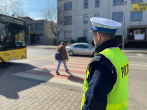zdjęcie przedstawiające policjanta z drogówki przy przejściu dla pieszych na które wchodzi młoda kobieta