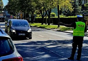 zdjęcie przedstawia policjanta zatrzymującego pojazd do kontroli drogowej