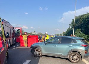 zdjęcie pojazdów na autostradzie