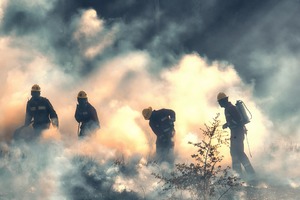 zdjęcie przedstawia strażaków walczących z palącymi się trawami