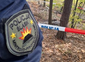 zdjęcie poglądowe policyjna naszywka pirotechnika, las z miejscem odgrodzonym taśmą