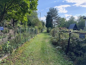 zdjęcie przedstawia alejkę na ogródkach działkowych