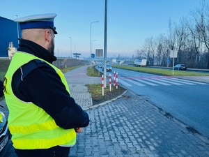 zdjęcie archiwalne pokazujące policjanta z drogówki w rejonie przejścia dla pieszych
