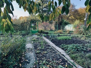 zdjęcie przedstawia ogródek działkowy