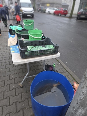zdjęcie przedstawia prowizoryczne stoisko z karpiami i beczką pokazaną na wcześniejszym zdjęciu