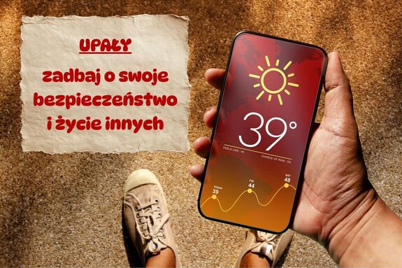 Grafika informacyjna