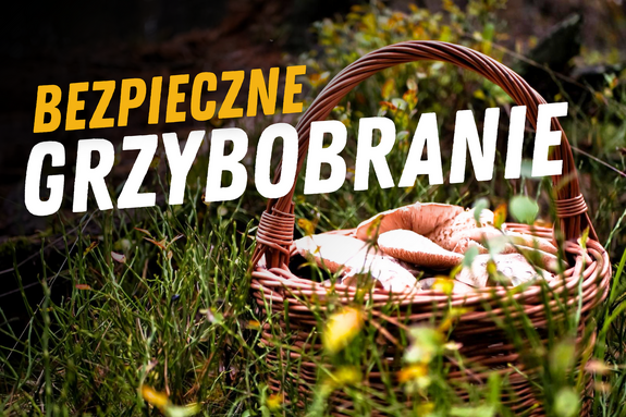 Grafika informacyjna