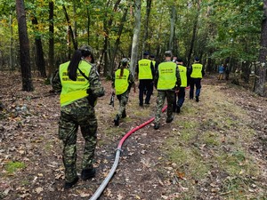 policjanci i strażnicy graniczni idący przez las